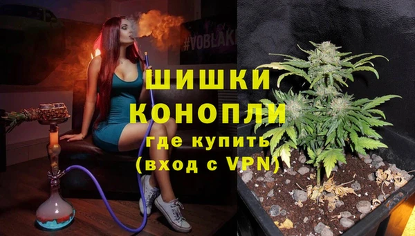 гашик Карталы