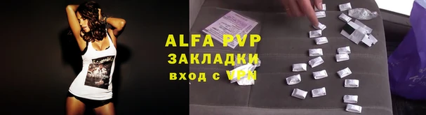 гашик Карталы