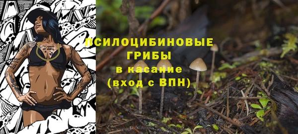 прущие крисы Касимов