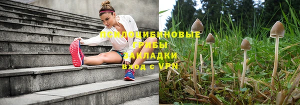 гашик Карталы
