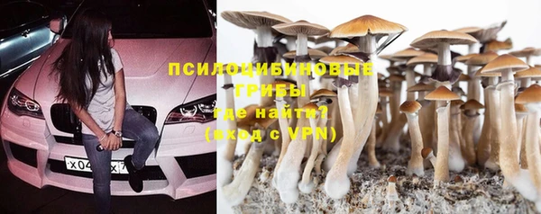 гашик Карталы