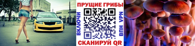 Галлюциногенные грибы ЛСД  купить  сайты  Норильск 