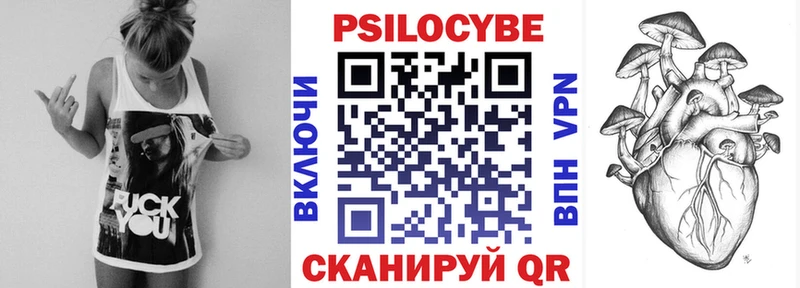Псилоцибиновые грибы Cubensis Норильск