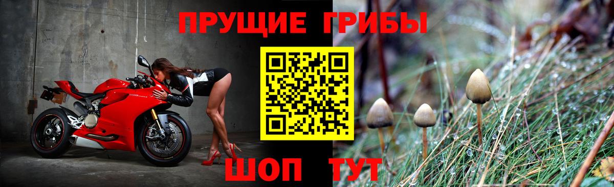Норильск  Галлюциногенные грибы мухоморы  Вход с VPN 