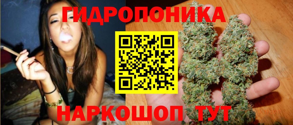 Бошки марихуана OG Kush  Вход с VPN  Конопля Bruce Banner  Бошки марихуана планчик  Бошки марихуана сатива  Норильск 